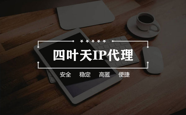 【泗阳代理IP】如何快速搭建代理IP？怎么检查代理的效果？