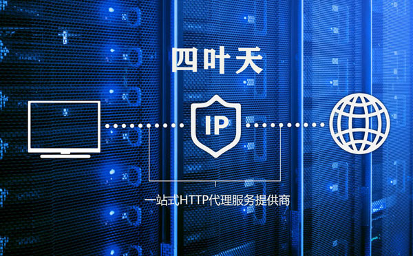 【泗阳代理IP】代理IP的主要用途和使用注意事项